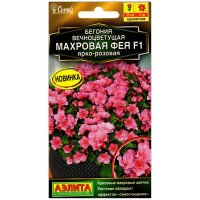 Бегония вечноцветущая Махровая фея ярко-розовая F1
