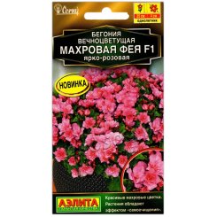 Бегония вечноцветущая Махровая фея ярко-розовая F1