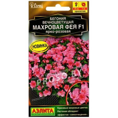 Бегония вечноцветущая Махровая фея ярко-розовая F1