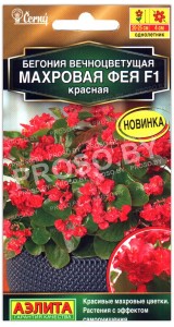 Бегония вечноцветущая Махровая фея красная F1