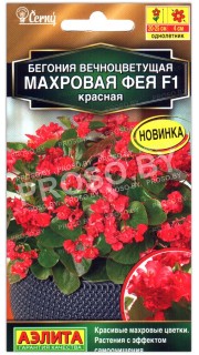 Бегония вечноцветущая Махровая фея красная F1