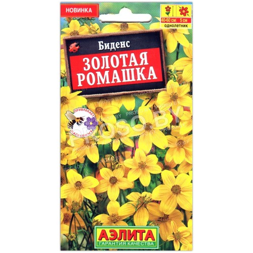 Биденс Золотая ромашка
