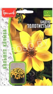Биденс Золотистый