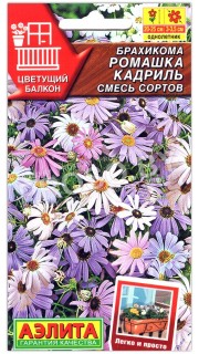 Брахикома Ромашка кадриль, смесь