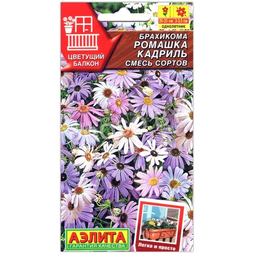Брахикома Ромашка кадриль, смесь