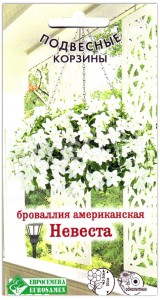Броваллия американская Невеста
