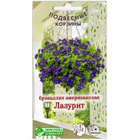 Броваллия ампельная Лазурит