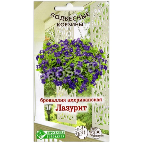 Броваллия американская Лазурит