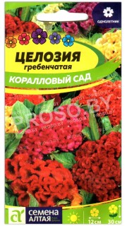 Целозия Коралловый сад, смесь