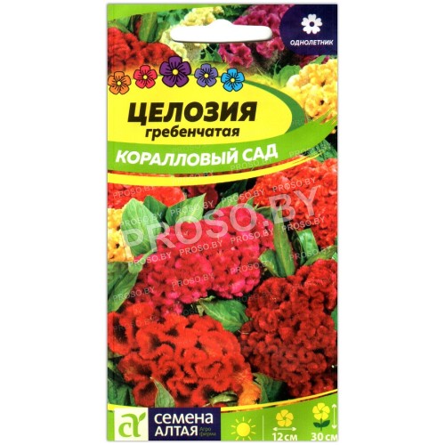 Целозия Коралловый сад, смесь
