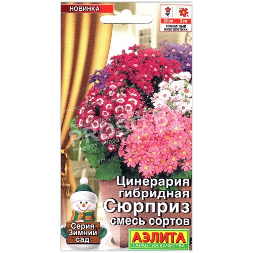 Цинерария гибридная Сюрприз, смесь