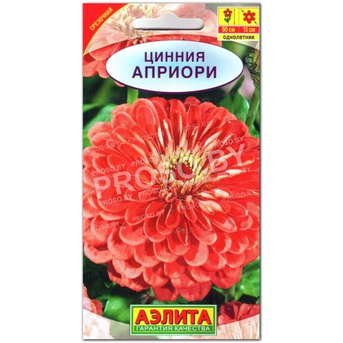 Цинния Априори