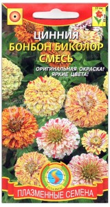 Цинния бонбон Биколор, смесь