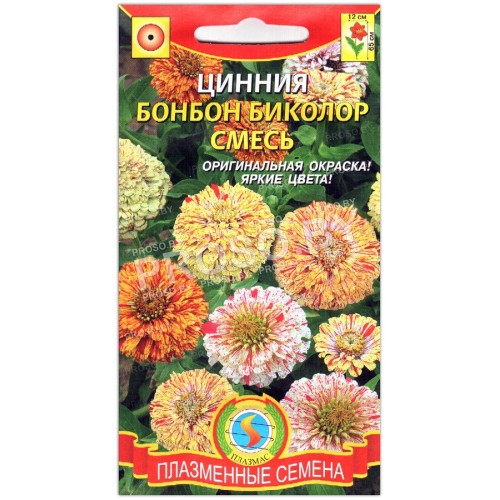 Цинния бонбон Биколор, смесь
