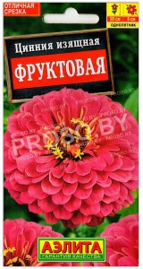 Цинния изящная Фруктовая