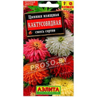 Цинния изящная Кактусовидная, смесь