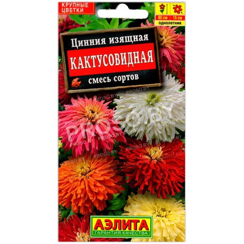 Цинния изящная Кактусовидная, смесь