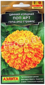 Цинния изящная Поп арт голд ред страйпс