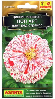 Цинния изящная Поп арт вайт ред страйпс