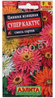 Цинния изящная Супер кактус, смесь