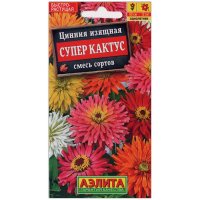 Цинния изящная Супер кактус, смесь
