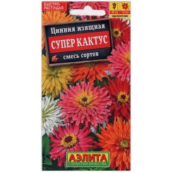 Цинния изящная Супер кактус, смесь