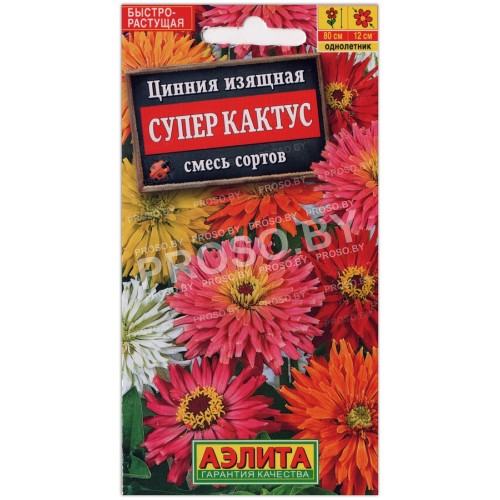 Цинния изящная Супер кактус, смесь