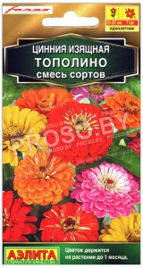 Цинния изящная Тополино, смесь