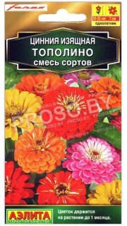 Цинния изящная Тополино, смесь