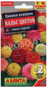 Цинния изящная Вальс цветов, смесь
