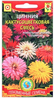 Цинния Кактусоцветковая, смесь