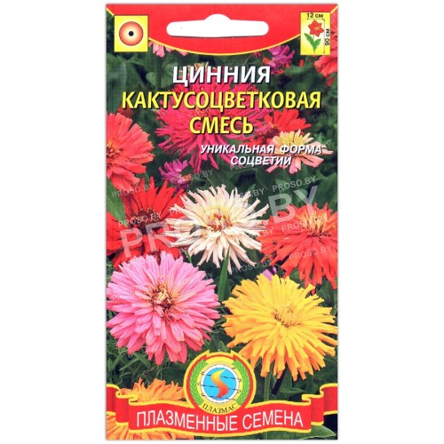 Цинния Кактусоцветковая, смесь