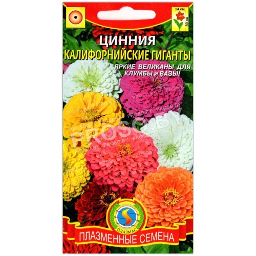 Цинния Калифорнийские гиганты