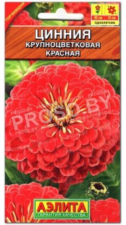 Цинния Красная