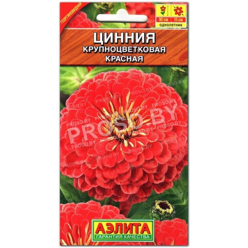 Цинния Красная
