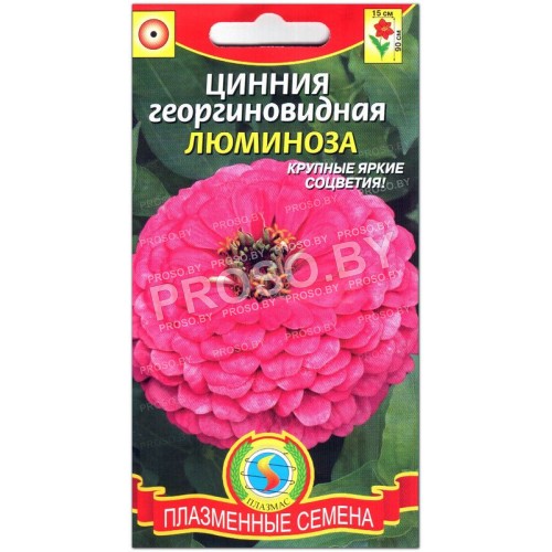 Цинния Люминоза