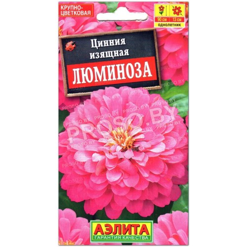 Цинния Люминоза-1
