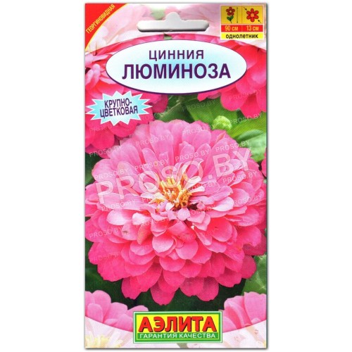 Цинния Люминоза-2