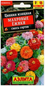 Цинния Махровые ежики, смесь