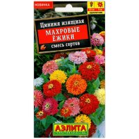 Цинния Махровые ежики, смесь