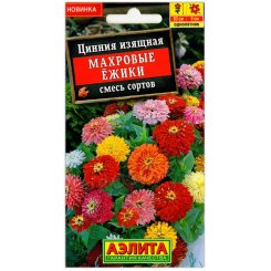 Цинния Махровые ежики, смесь