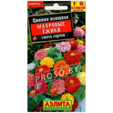 Цинния Махровые ежики, смесь