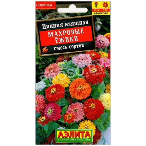 Цинния Махровые ежики, смесь
