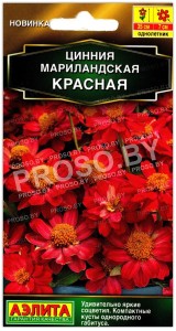 Цинния мариландская Красная