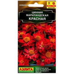 Цинния мариландская Красная