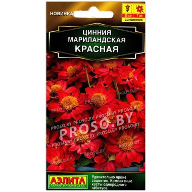 Цинния мариландская Красная