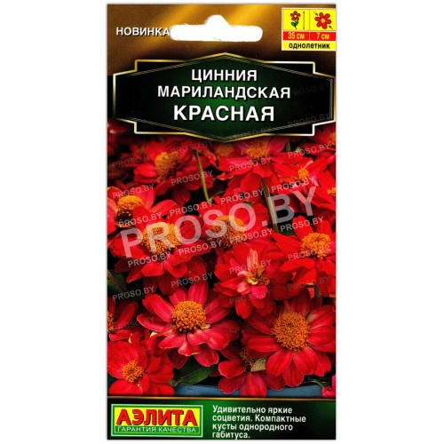 Цинния мариландская Красная