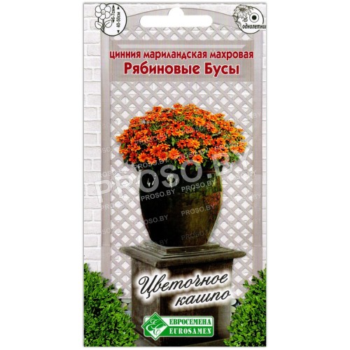 Цинния мариландская махровая Рябиновые бусы
