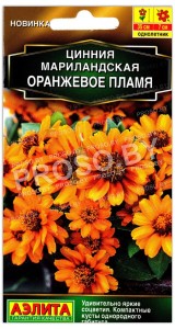 Цинния мариландская Оранжевое пламя
