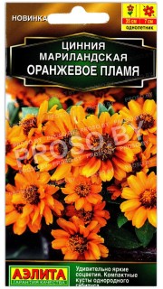 Цинния мариландская Оранжевое пламя